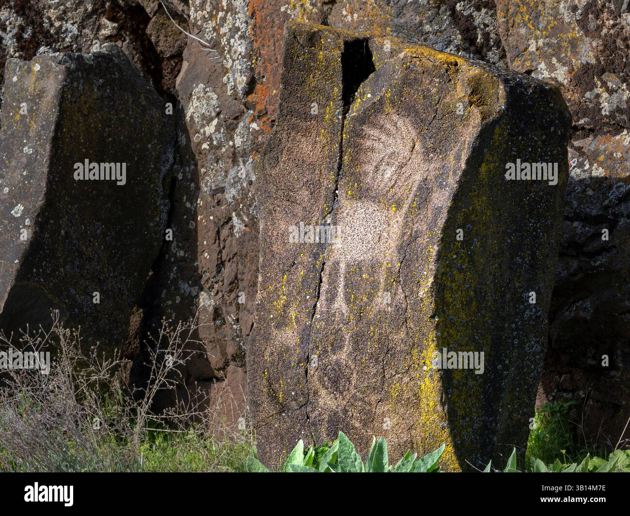 WA26548-00....WASHINGTON - die ersten Menschen auf dem Temani Pesh-wa Trail, Petroglyphs Trail, im Horsetheif Lake State Park. Von ihrem entfernt Stockfoto