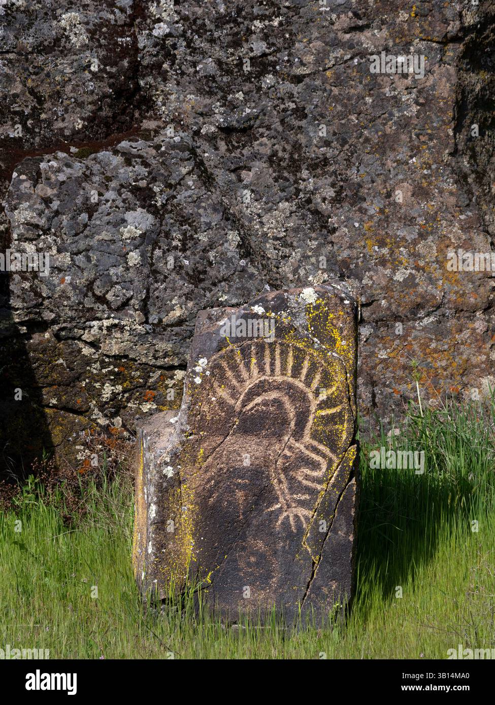 WA26554-00....WASHINGTON - First People Petroglyphen entlang des Temani Pesh-wa Trail, Petroglyphs Trail, im Horsetheif Lake State Park. Von ihrem entfernt Stockfoto