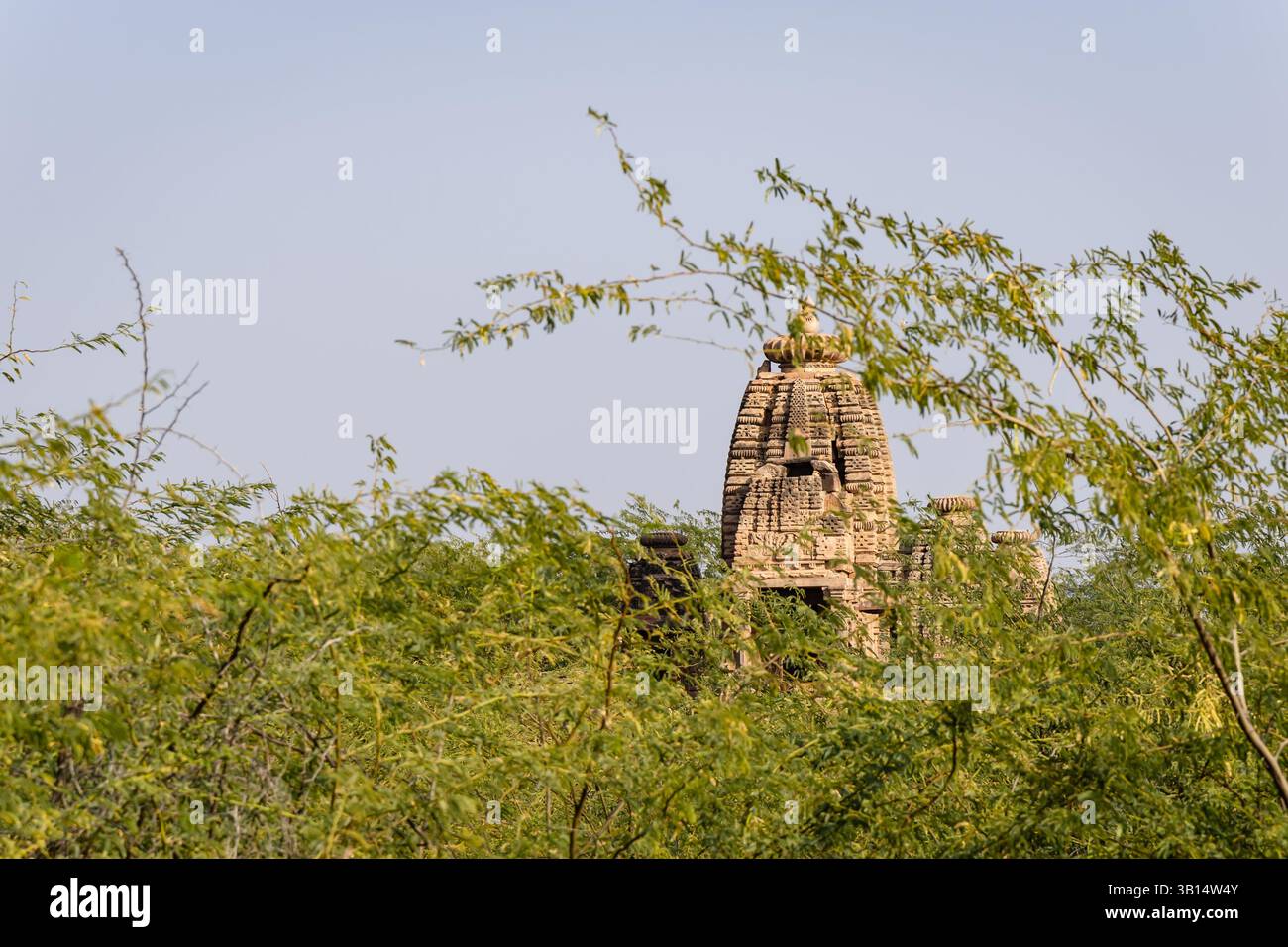 Tempelruinen versteckt in dichtem Wald, aus flachem Winkel bei Tageslicht Stockfoto