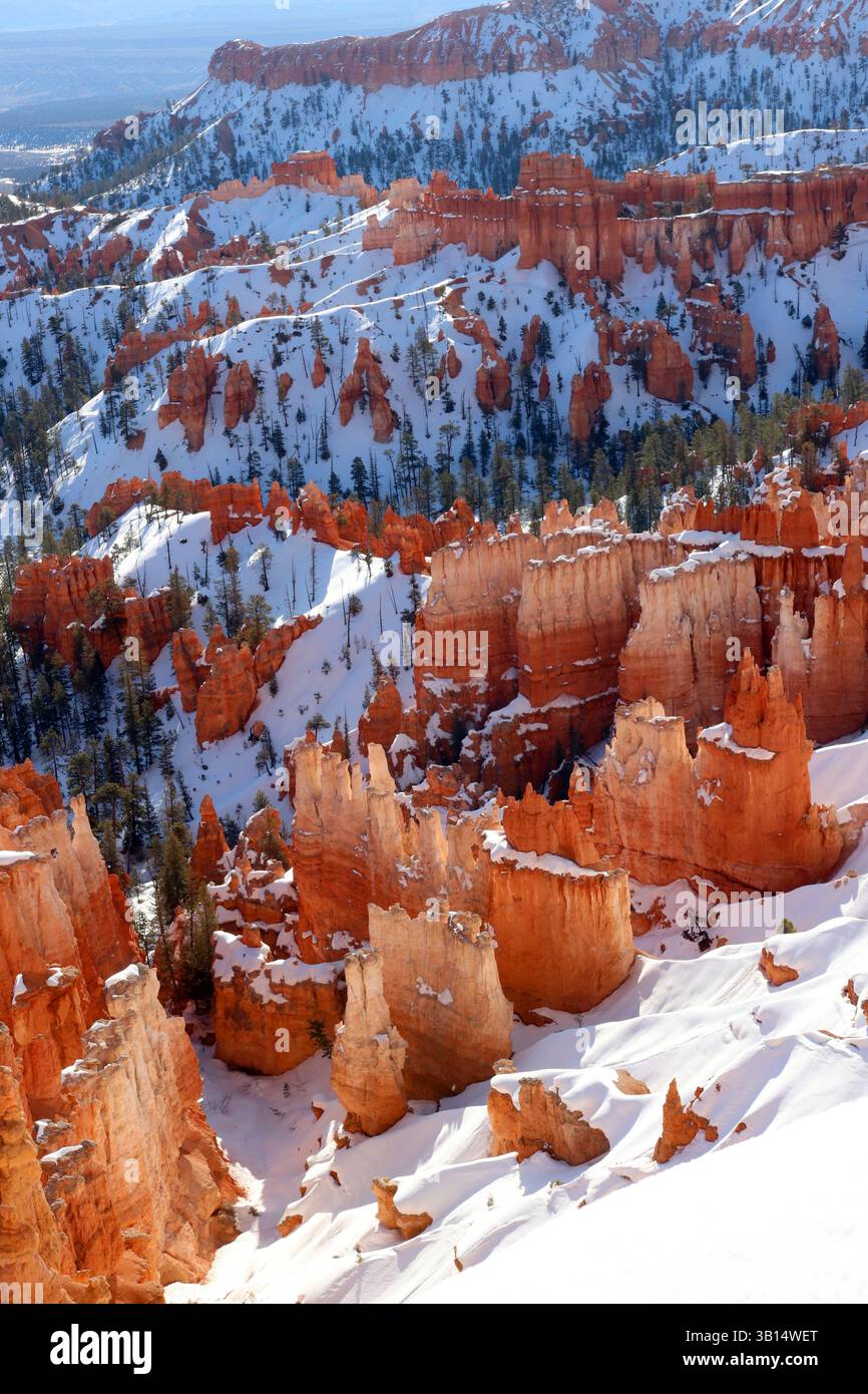 Bryce Canyon im Schnee – die Kontraste der Natur Stockfoto