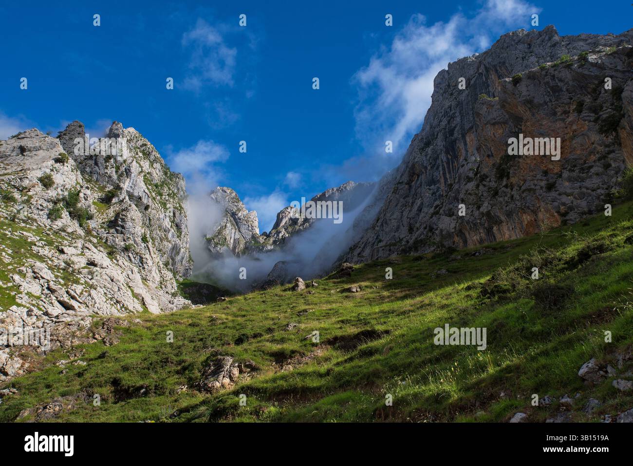 Berglandschaft in der Cares-Schlucht in Spanien mit ihren felsigen Klippen und Vegetation Stockfoto