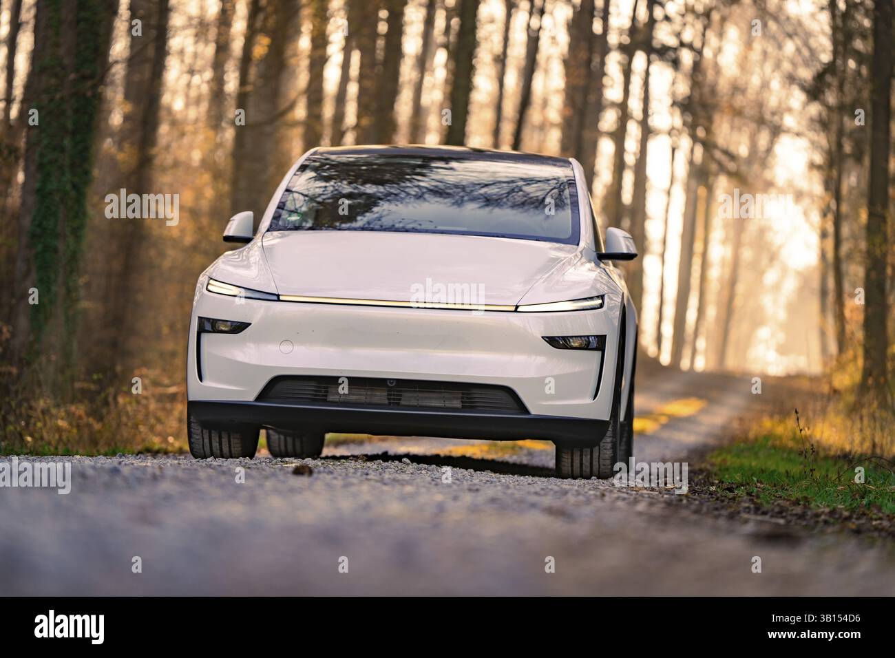 Weißes Auto auf einem Waldweg, umgeben von Bäumen im Sonnenlicht, Tesla, New Model Y, Schwarzwald, Deutschland, Europa Stockfoto