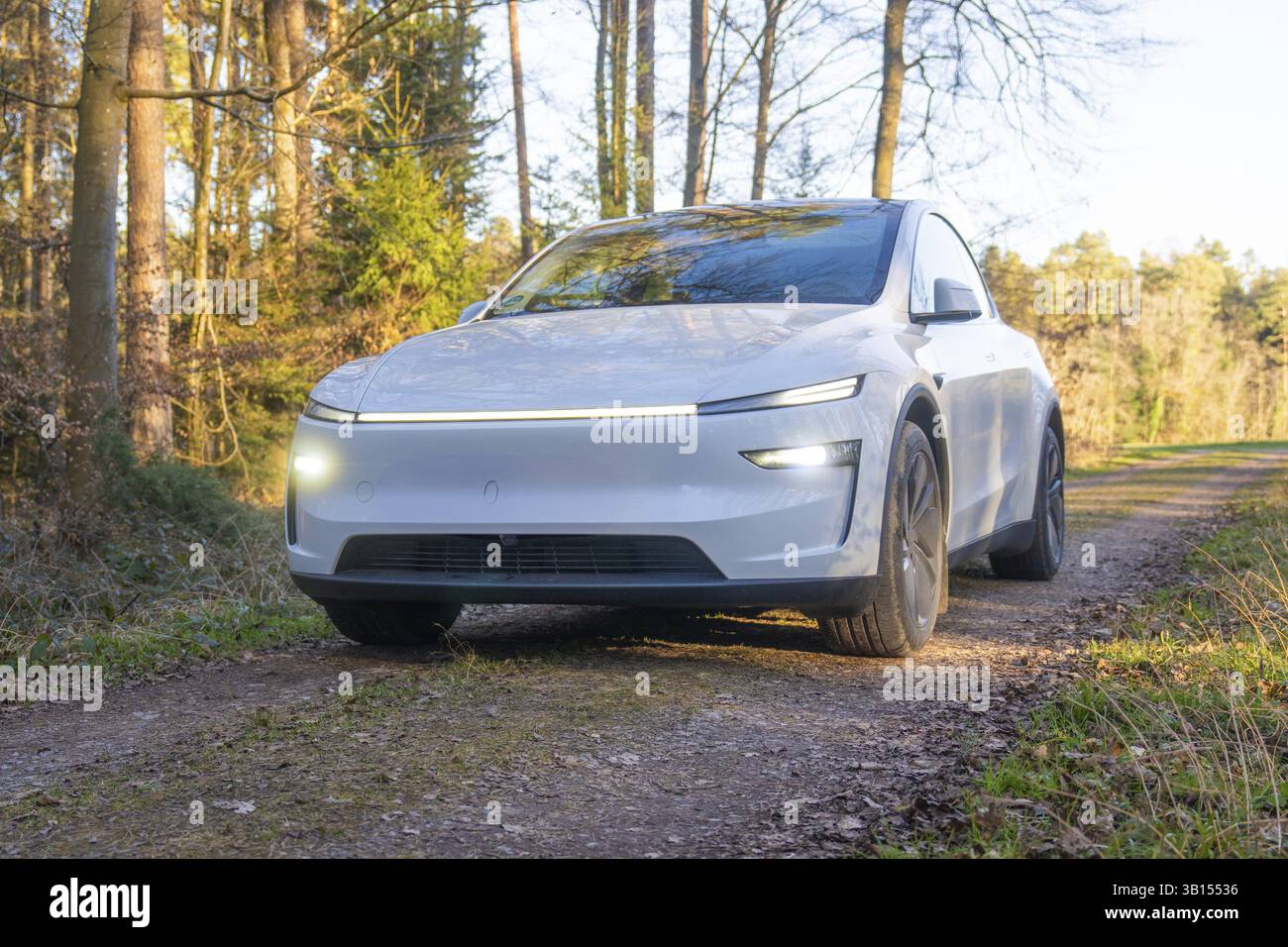 Weißes Elektroauto auf einem Waldweg in natürlicher Umgebung, beleuchtet durch Sonnenlicht, Tesla New Model Y, Deutschland, Europa Stockfoto