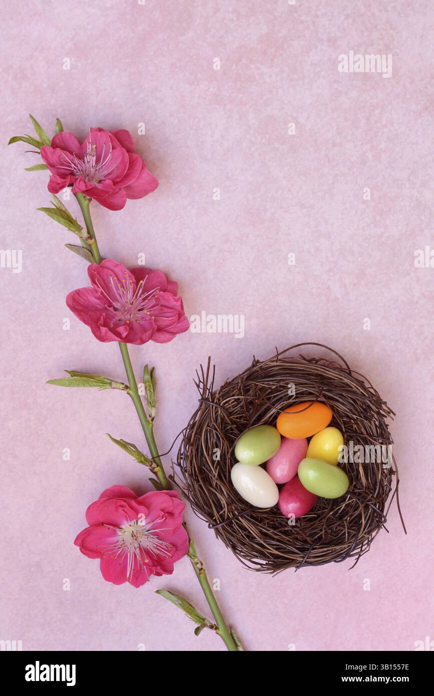 Osternest, Nest mit Zuckereiern und Blüten des japanischen Zierpfirsichs Stockfoto