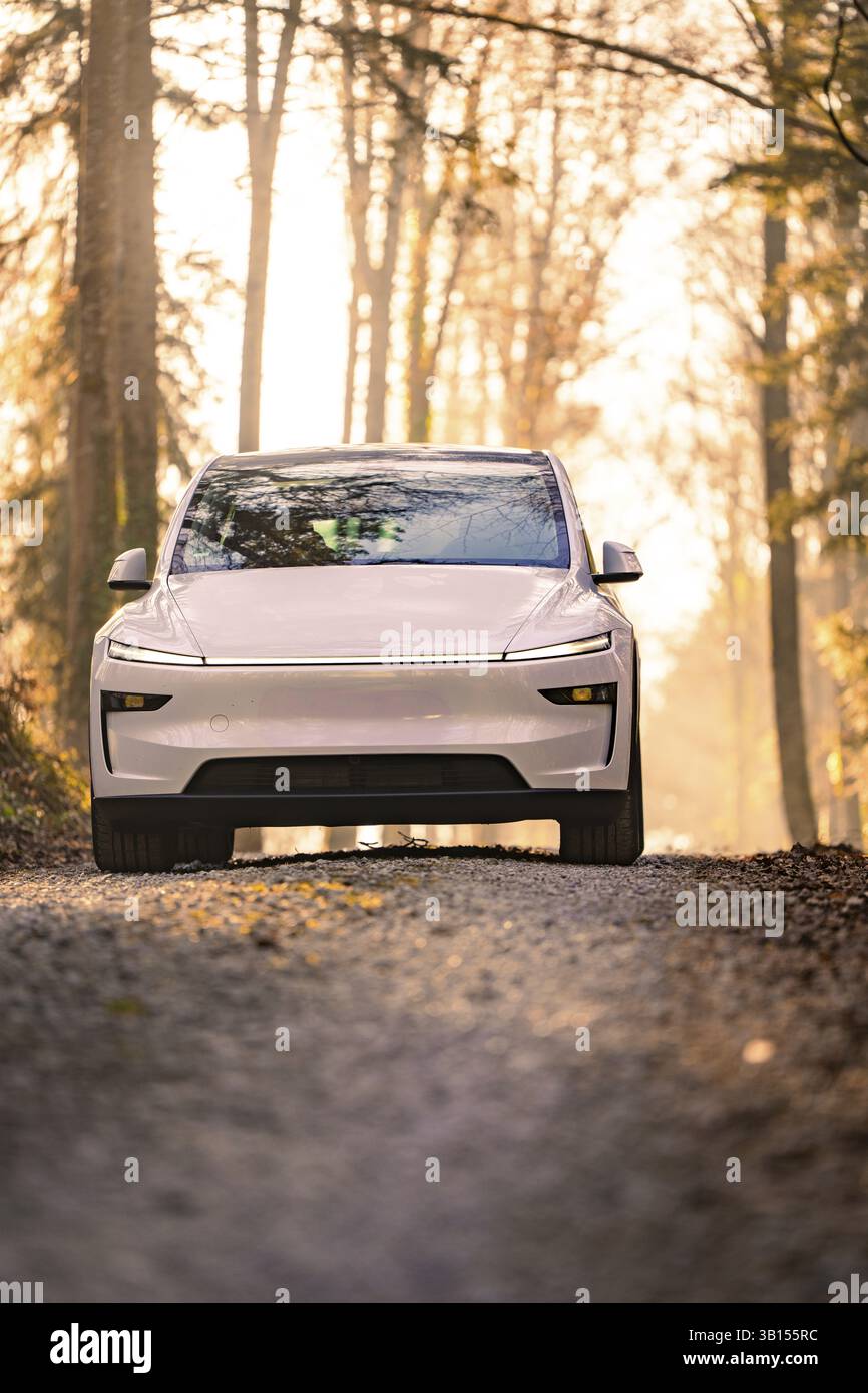 Weißes Auto auf einem Waldweg in sanftem Sonnenlicht, Tesla, neues Model Y, Schwarzwald, Deutschland, Europa Stockfoto