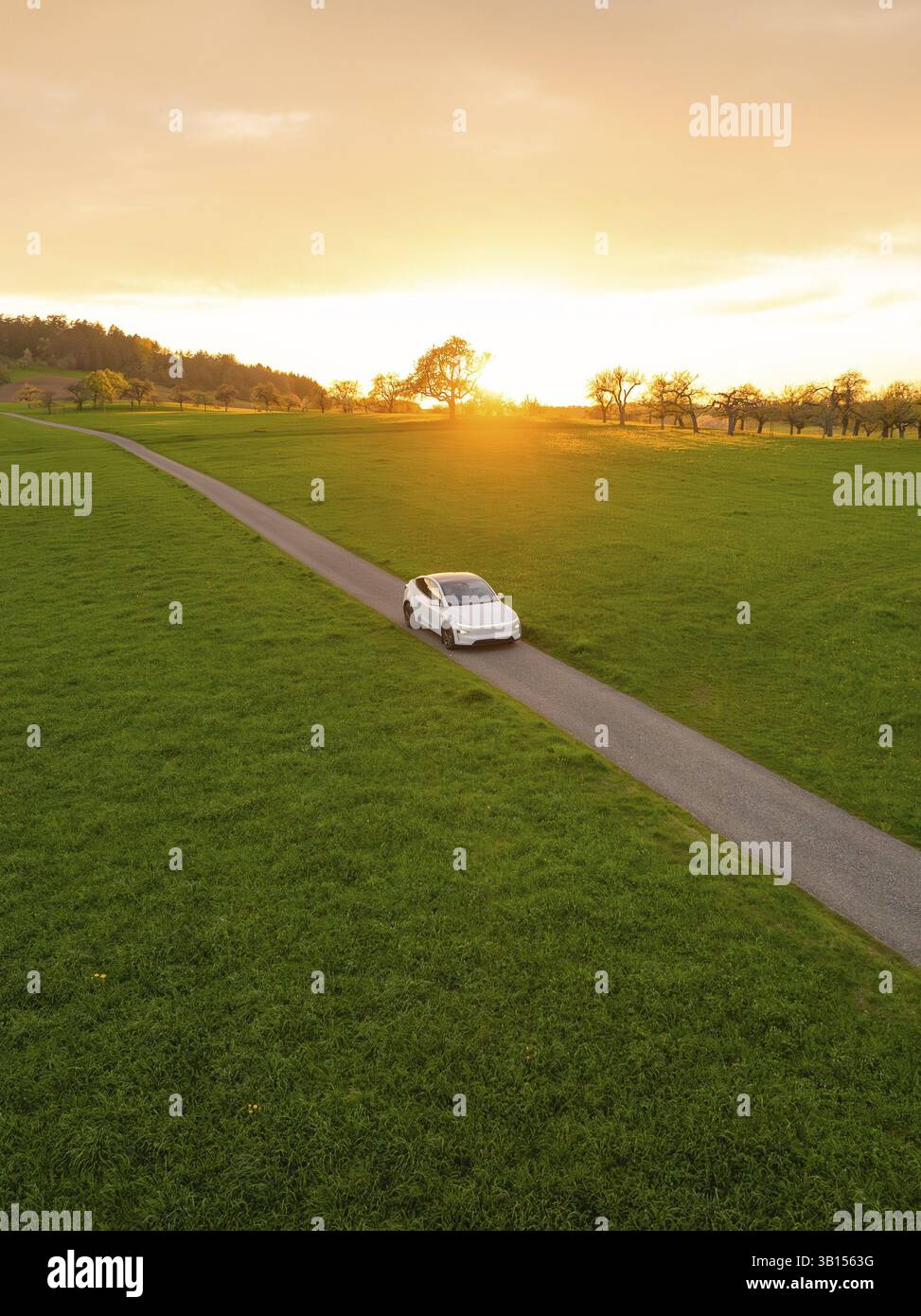 Ein weißes Auto auf einer kleinen Straße mitten auf Feldern bei Sonnenuntergang, Tesla New Model Y, Deutschland, Europa Stockfoto