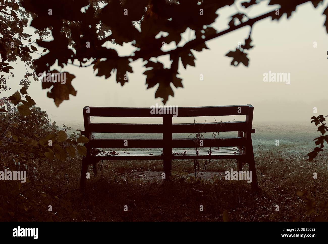 Bank im Park an einem Novembertag - Smartphone-aufgenommenes Stockfoto