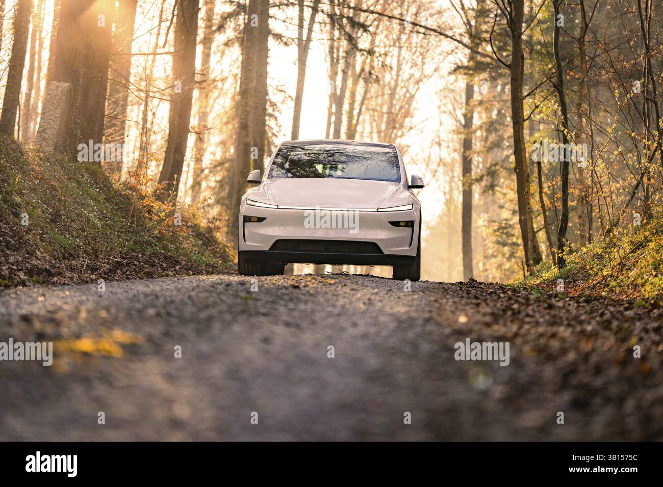Weißes Auto fährt auf einer Schotterstraße im Wald bei Sonnenlicht, Tesla, New Model Y, Schwarzwald, Deutschland, Europa Stockfoto