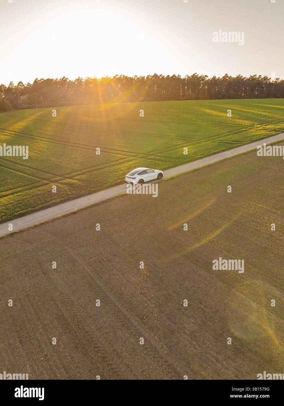 Weißes Auto auf unbefestigter Straße neben Wiese und Sonneneinstrahlung, Tesla, neues Model Y, Schwarzwald, Deutschland, Europa Stockfoto