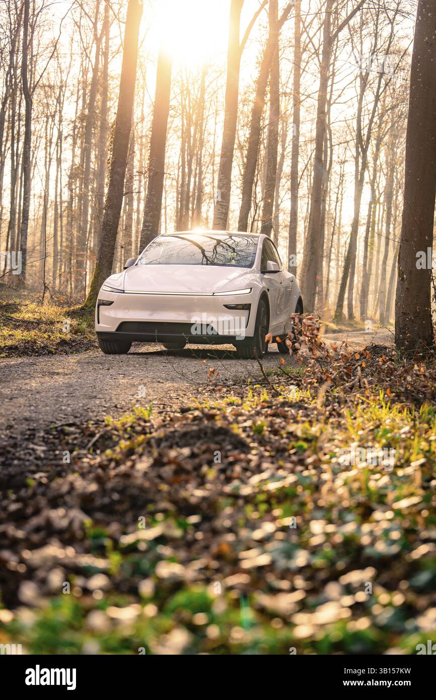 Ein weißes Auto, das im Sonnenlicht auf einer Forststraße fährt, umgeben von Bäumen und Blättern auf dem Boden, Tesla, New Model Y, Schwarzwald, Deutschland, Europa Stockfoto