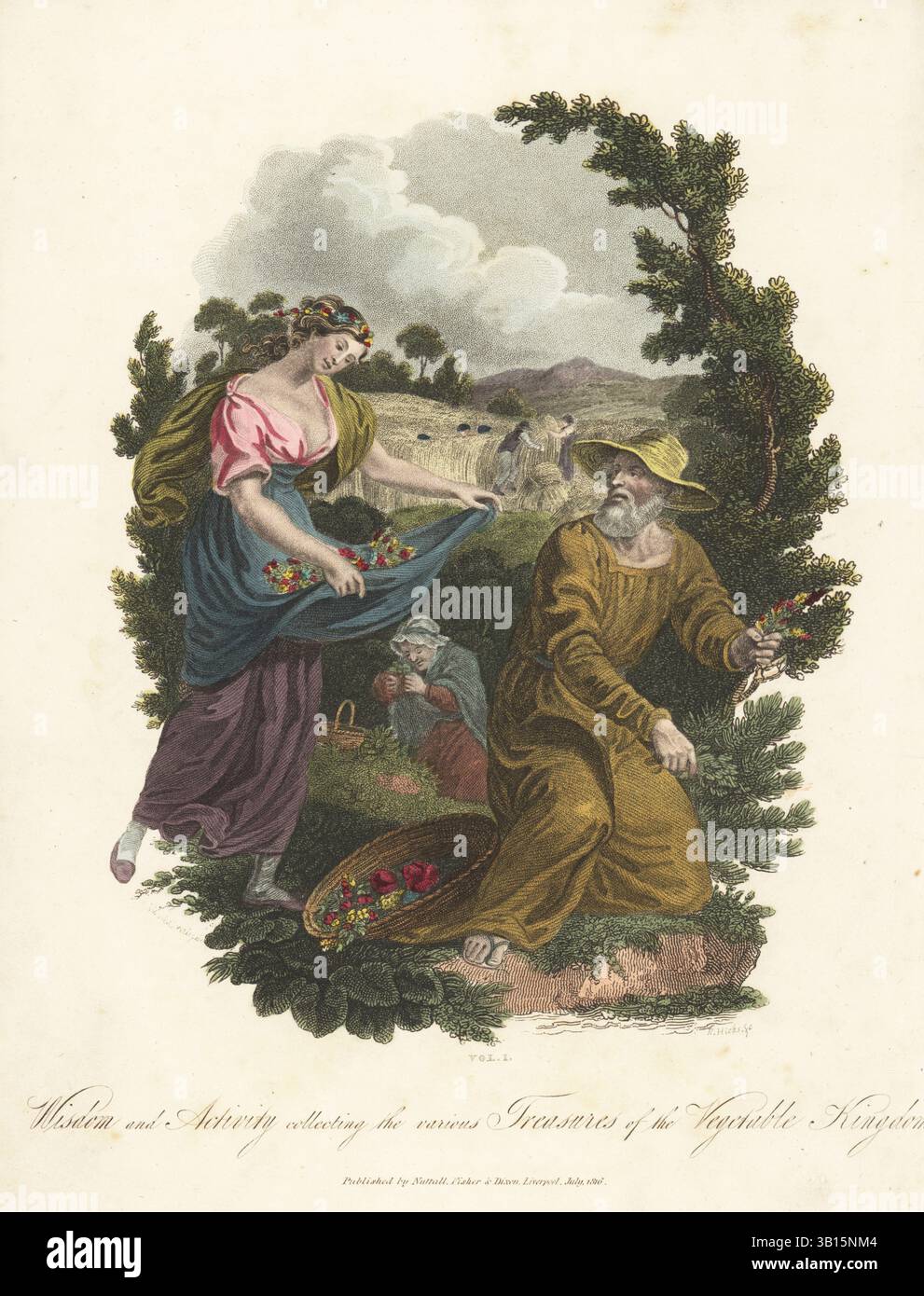 Allegorische Figuren eines alten Mannes, der Blumen in einem Korb pflückt, und einer jungen Frau, die Blumen in ihre Schürze bringt. Eine alte Kräuterfrau pflückt Heilkräuter in der Nähe einer Hecke und Landarbeiter ernten Weizen auf einem Feld. Weisheit und Aktivität Sammeln der verschiedenen Schätze des Gemüsereiches. Handkolorierter Kupferstich von R. Hicks nach einer Illustration von William Marshall Craig aus Thomas Green's The Universal Herbal oder Botanical, Medical and Agricultural Dictionary, Caxton, London, 1824. Stockfoto