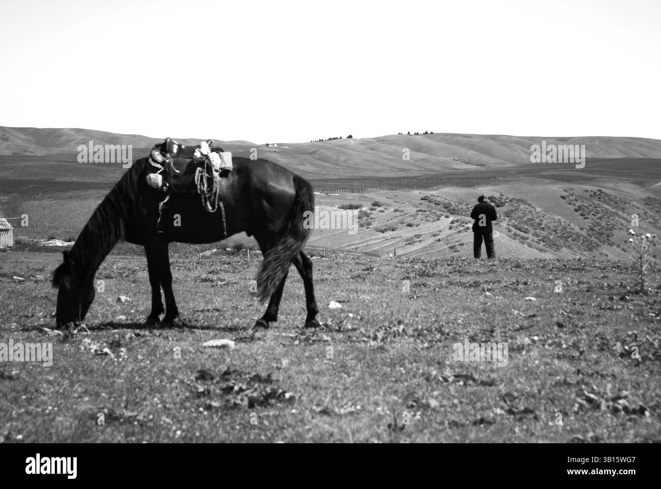 Pferd weidet im weiten Grasland mit einer einsamen Figur in der Ferne Stockfoto Pferd weidet im weiten Grasland mit einer einsamen Figur in der Ferne Stockfoto