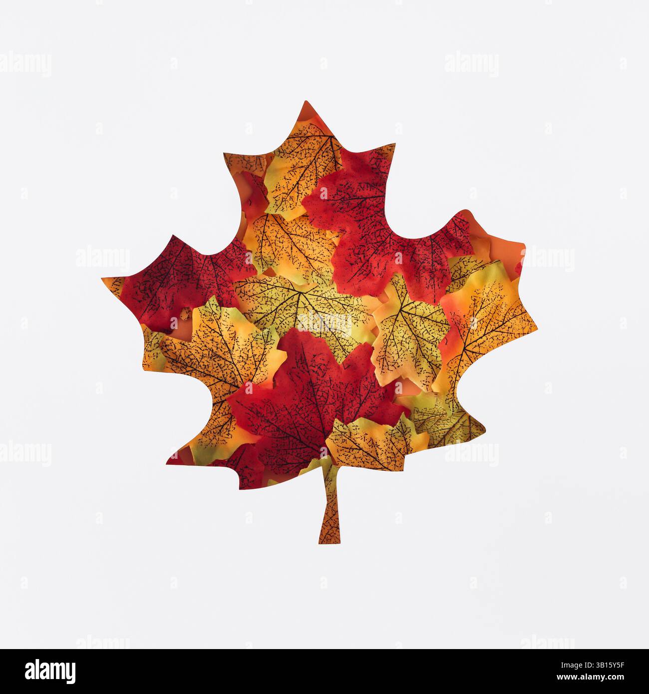 Herbstkomposition mit bunten Herbstblättern, die durch eine blattförmige Lücke sichtbar sind. Minimales Konzept. Sturzästhetik. Perfekt für Herbstmotive. Stockfoto