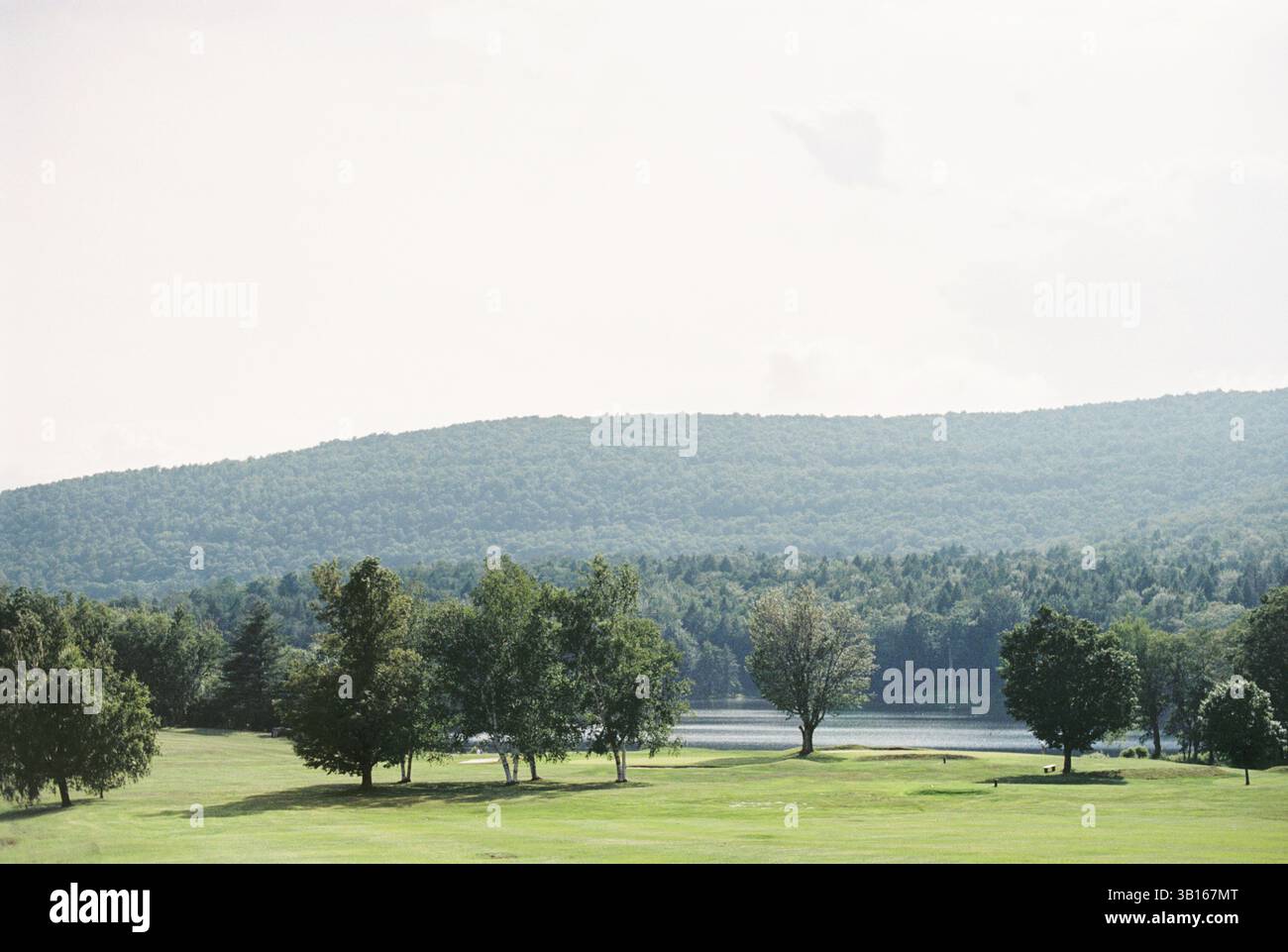Sonniger Blick auf die Bäume und die nebeligen catskill Berge Stockfoto