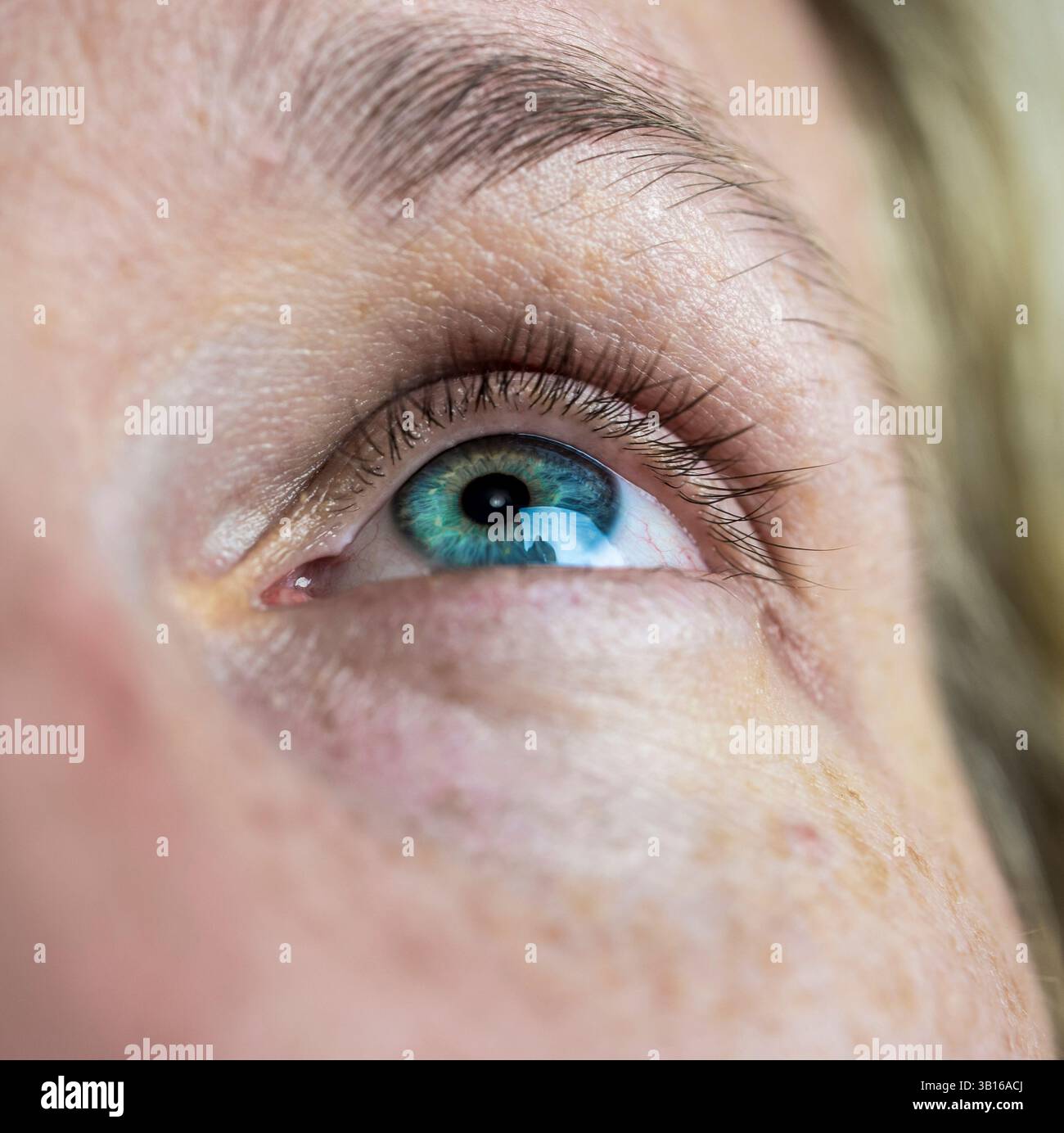 London, Großbritannien - 14. September 2023: Makroaufnahme einer menschlichen Iris mit sichtbaren Wimpern und natürlicher Hautstruktur. Stockfoto