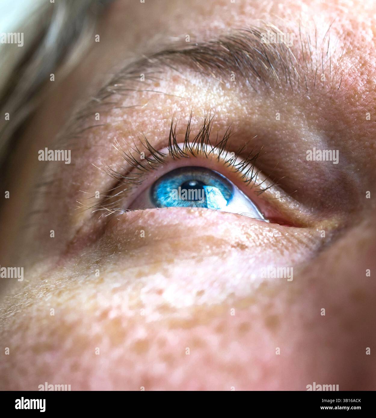 London, Großbritannien – 14. September 2023: Nahaufnahme eines blauen Auges mit detaillierten Wimpern und einer gerafften Haut Stockfoto