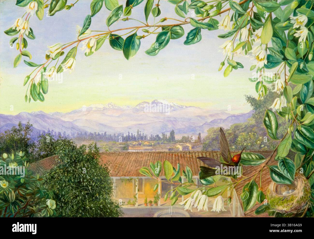 Marianne Nord, der Permanent Snows, Chile von Santiago, Patagua vor Kolibri und Nest, Malerei vor 1890 Stockfoto