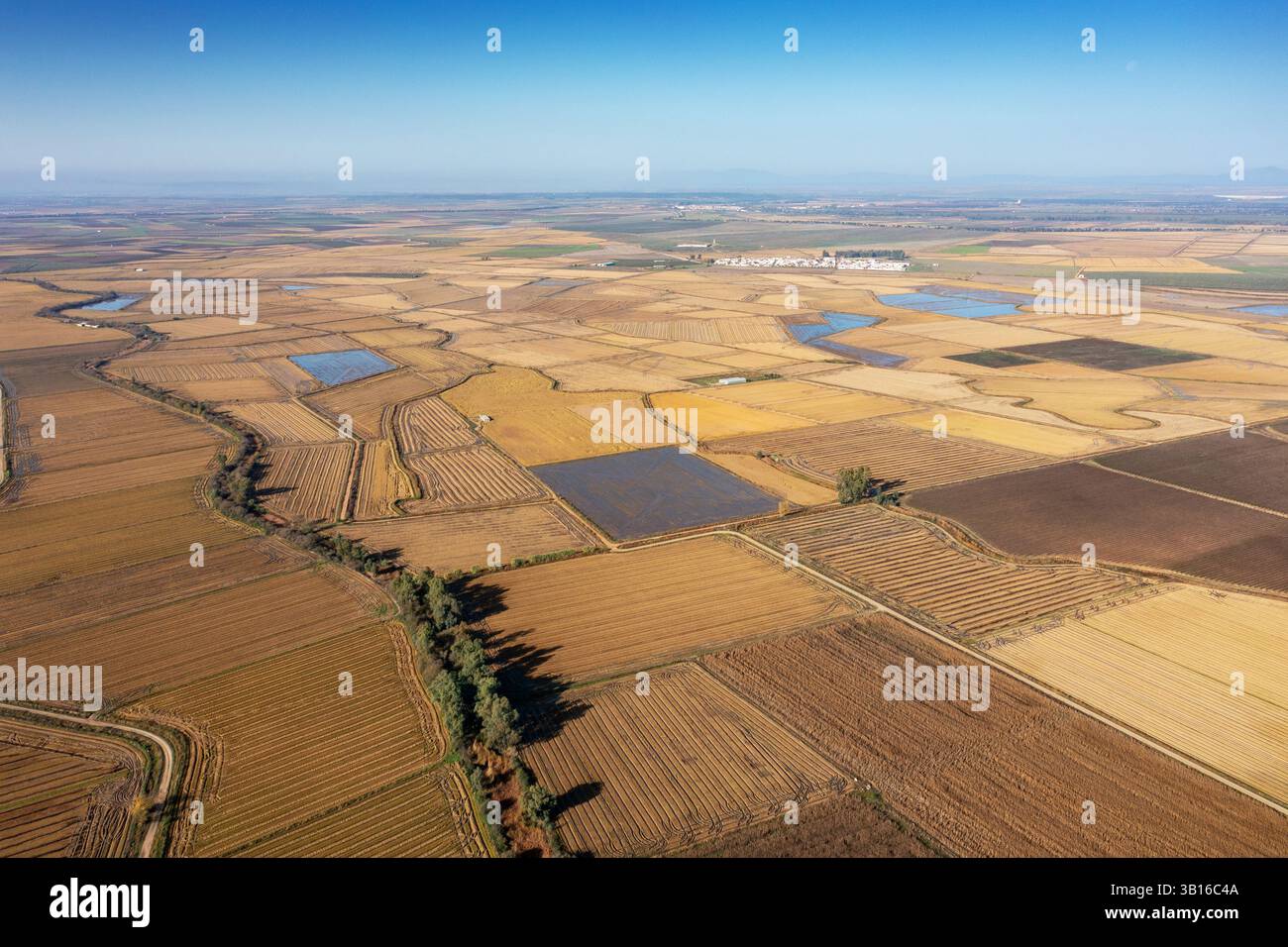 Reisfelder in der Ebene von Rio Gargaligas, aus der Luft, Spanien, Extremadura, Obando Stockfoto