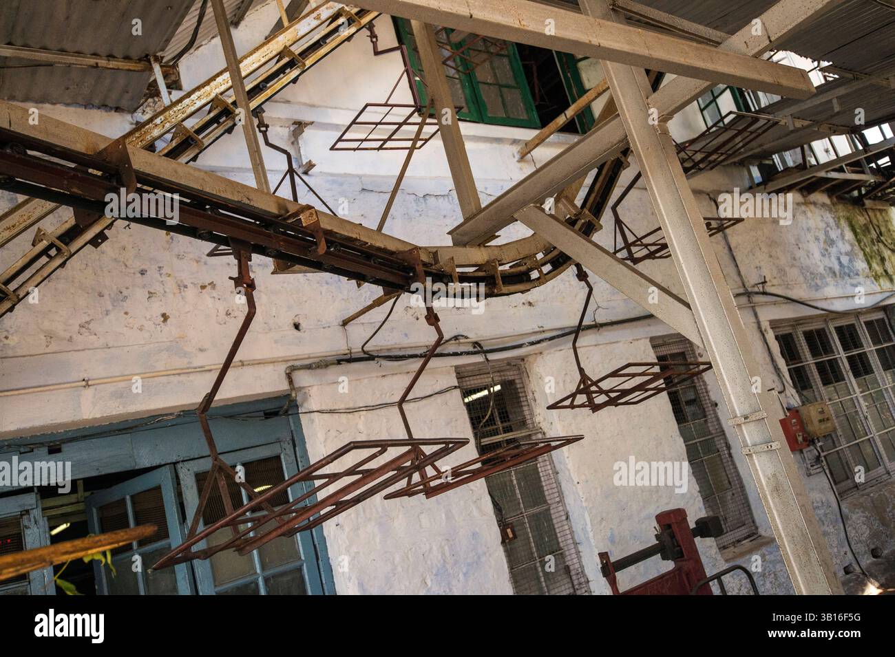 Die Teeplantagen rund um Ootacamund (Ooty)/ Udagamandalam im südlichen indischen Bundesstaat Tamil Nadu bilden faszinierende Muster vor dem Hintergrund Stockfoto