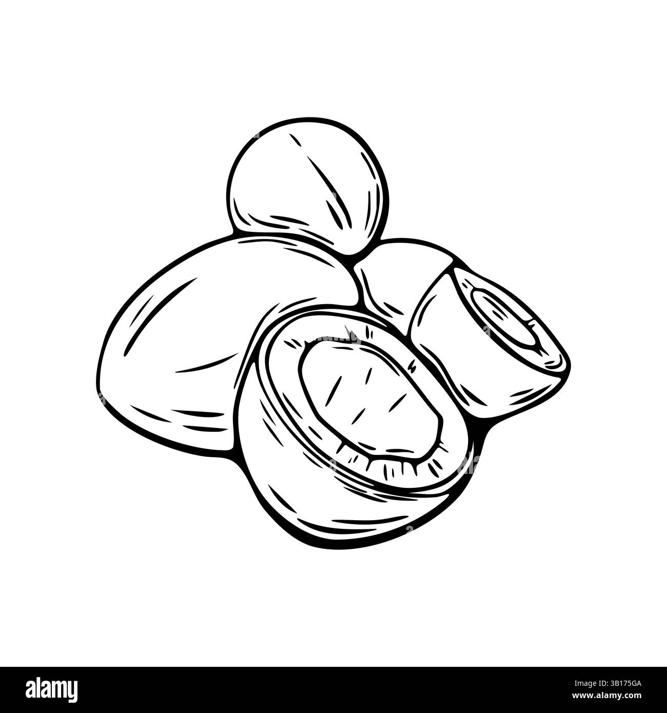 Einfarbige Kokosnuss mit halbierter Schale und ganzer Form. Ideal zum Färben, für tropische Verpackungen und für das Branding von natürlichen Lebensmitteln. Stock Vektor