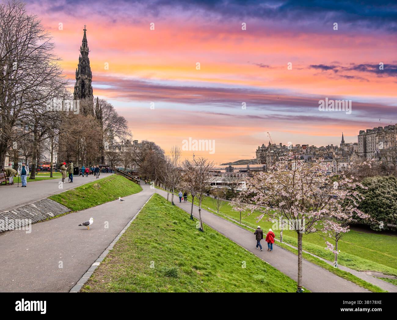 Blick auf den Sonnenuntergang in Richtung des Scott Monuments im Princes Street Garden mit farbenfrohem Abendhimmel, Edinburgh, Schottland, UL Stockfoto Blick auf den Sonnenuntergang in Richtung des Scott Monuments im Princes Street Garden mit farbenfrohem Abendhimmel, Edinburgh, Schottland, UL Stockfoto