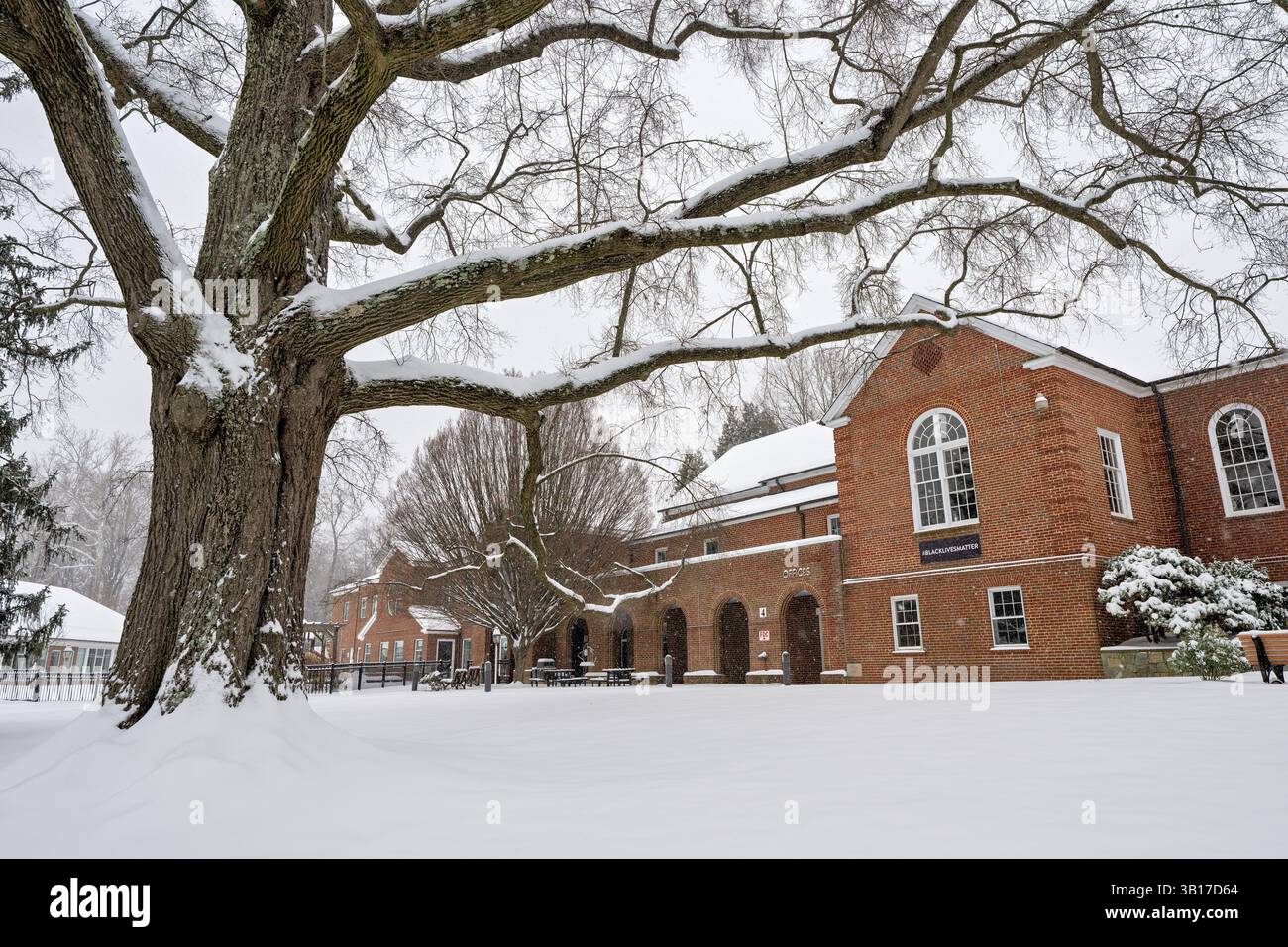 Rock Spring Park im Schnee | ARLINGTON, Virginia — Die Rock Spring Congregational Church, eine Gemeinde der United Church of Christ, steht bedeckt von Schnee in Arlington, Virginia. Das weiße Kirchengebäude mit seinem markanten Turm ist charakteristisch für die traditionelle protestantische Kirchenarchitektur in den Vereinigten Staaten. Die Rock Spring UCC dient der Gemeinschaft in Arlington seit 1912, obwohl das aktuelle Gebäude aus einer späteren Bauphase stammt. Die Kirche befindet sich im Wohngebiet Rock Spring im Norden von Arlington. Stockfoto