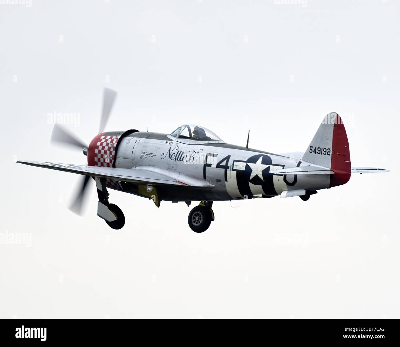 Ein Republic P-47 Thunderbolt, „Nellie B“, im Flug gegen einen bewölkten Himmel, mit seinem kraftvollen Propeller und seinen Kriegsmarkierungen in Duxford, England. Stockfoto