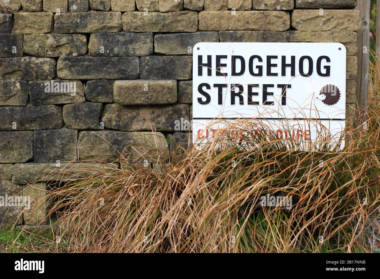 Der Igel Highway am RHS Harlow Carr Gardens in Harrogate, Yorkshire, Großbritannien, öffnet sich am Fuße einer Steinmauer, um kleine Tiere zu passieren. Stockfoto