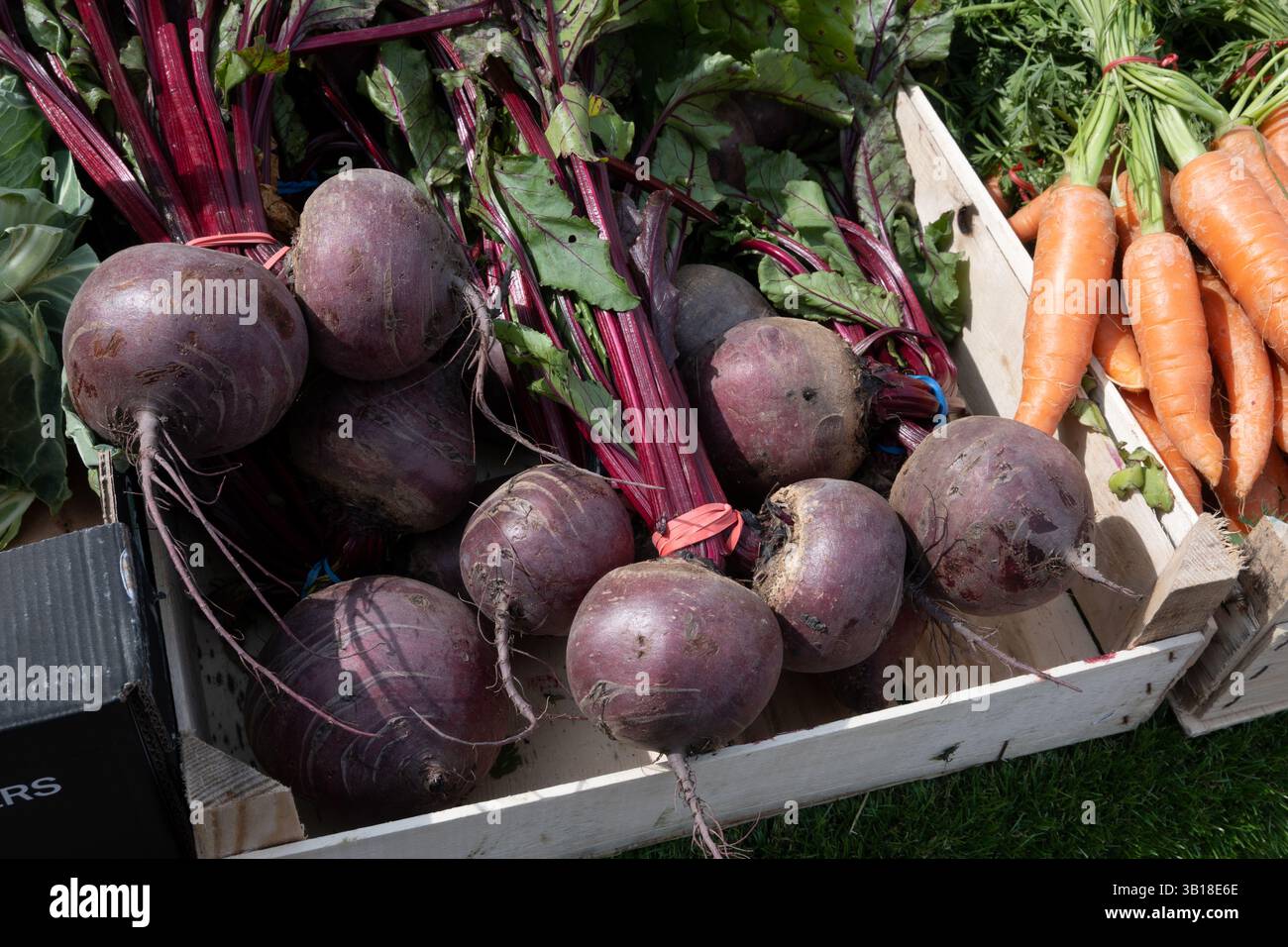 Beetrot zum Verkauf an einem Marktstand in Stratford-upon-Avon, Großbritannien Stockfoto