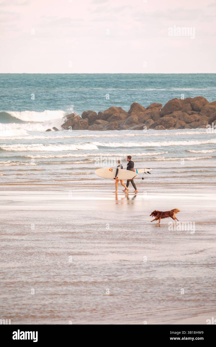 Surfer und ein Hund laufen am Strand von Plage Santocha in Capbreton, Frankreich, mit Wellen unter bewölktem Himmel. Stockfoto