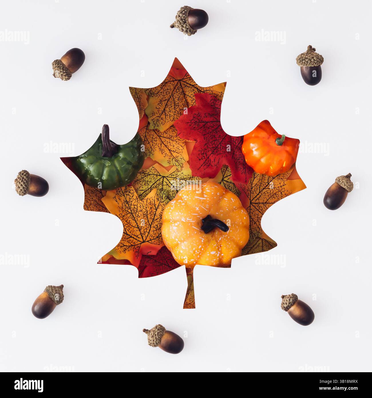 Herbstszene mit bunten Herbstblättern, Kürbissen und Nüssen, sichtbar durch eine blattförmige Lücke auf weißem Hintergrund. Minimales Saisonkonzept. Stockfoto