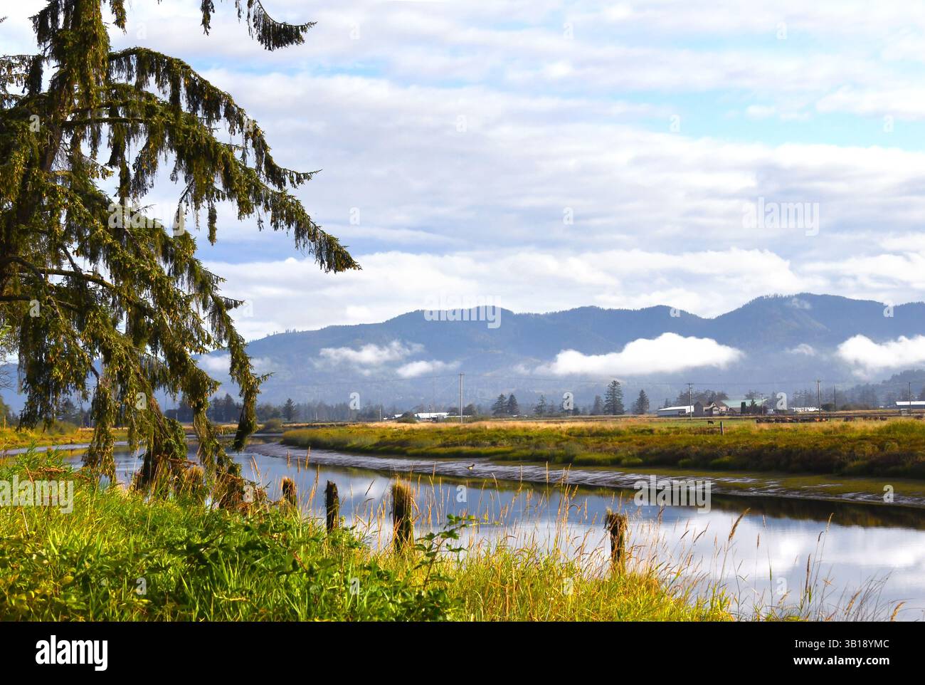 Die friedliche Szene zeigt den Tillamook River und das Farmland in der Nähe von Tillamook, Oregon. Die Northern Oregon Coast Range erhebt sich über den Farmen. Stockfoto