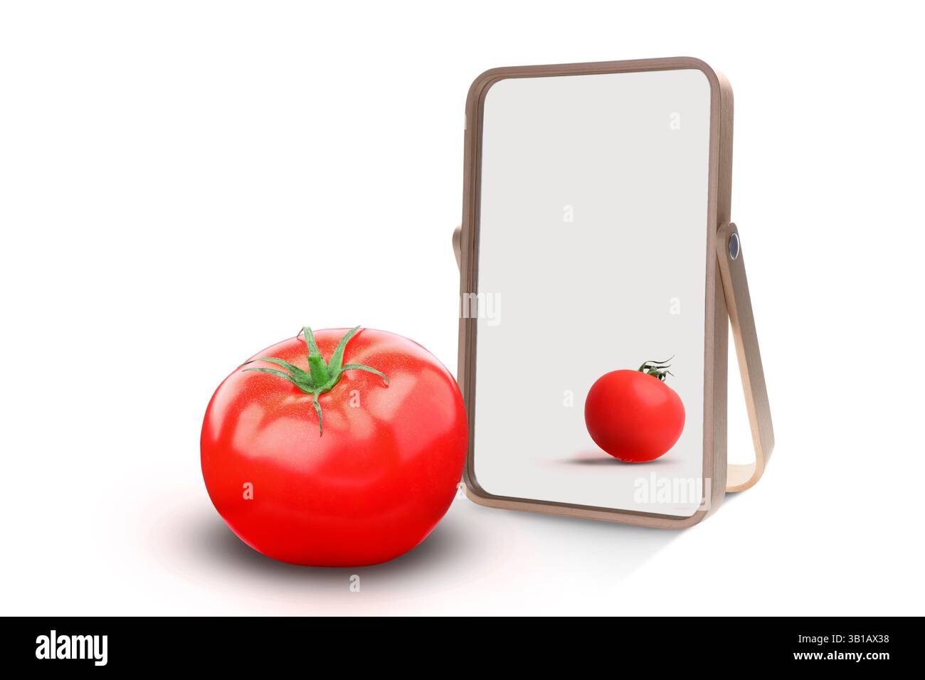 Große Tomate reflektiert im Spiegel als kleiner, weißer Hintergrund. Im Gegenteil, Kontrast, Differenz Stockfoto