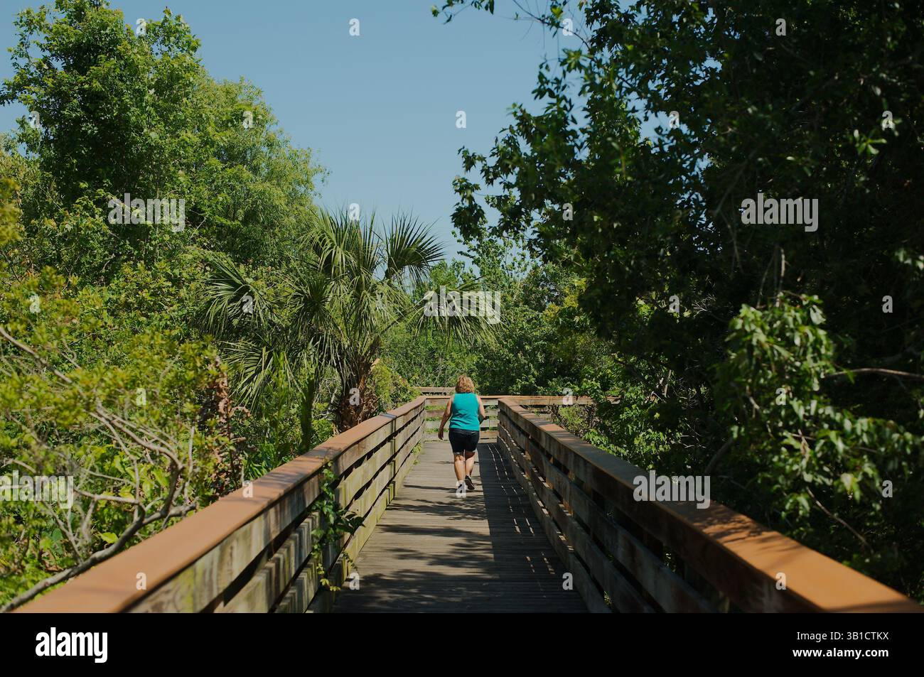 Reife kaukasische Frau, die auf einem Waldtral umringt von üppigen grünen Bäumen spaziert. Eine ruhige Szene mit einem Einzelgänger, der auf einem Holzweg spaziert Stockfoto