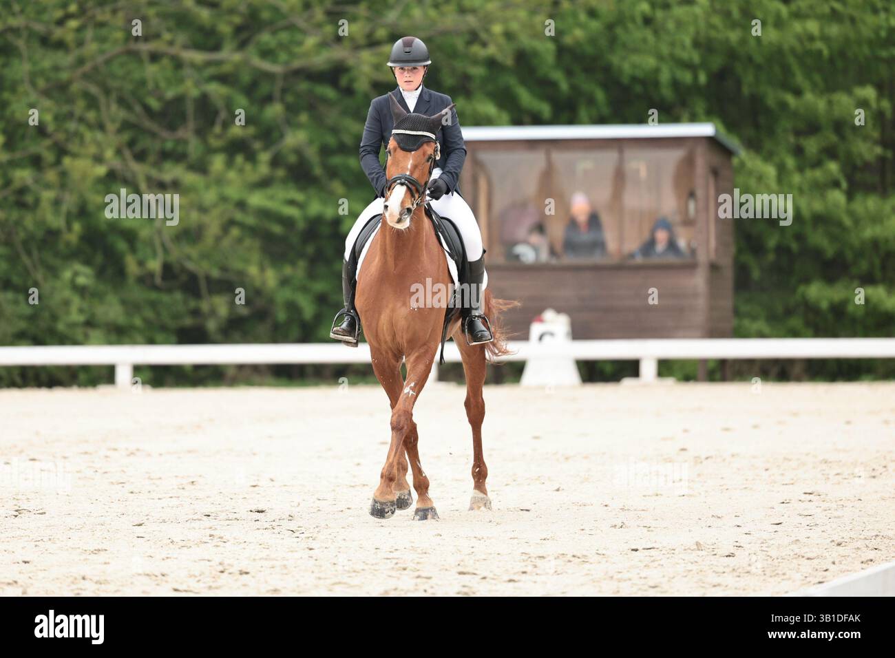 Nikola Bartova aus Tschechien mit Portas während der CCI2*-L Dressur bei den Strzegom Spring Open II am 25. April 2025 in Strzegom, Polen (Foto: Maxime David - MXIMD Pictures) Stockfoto