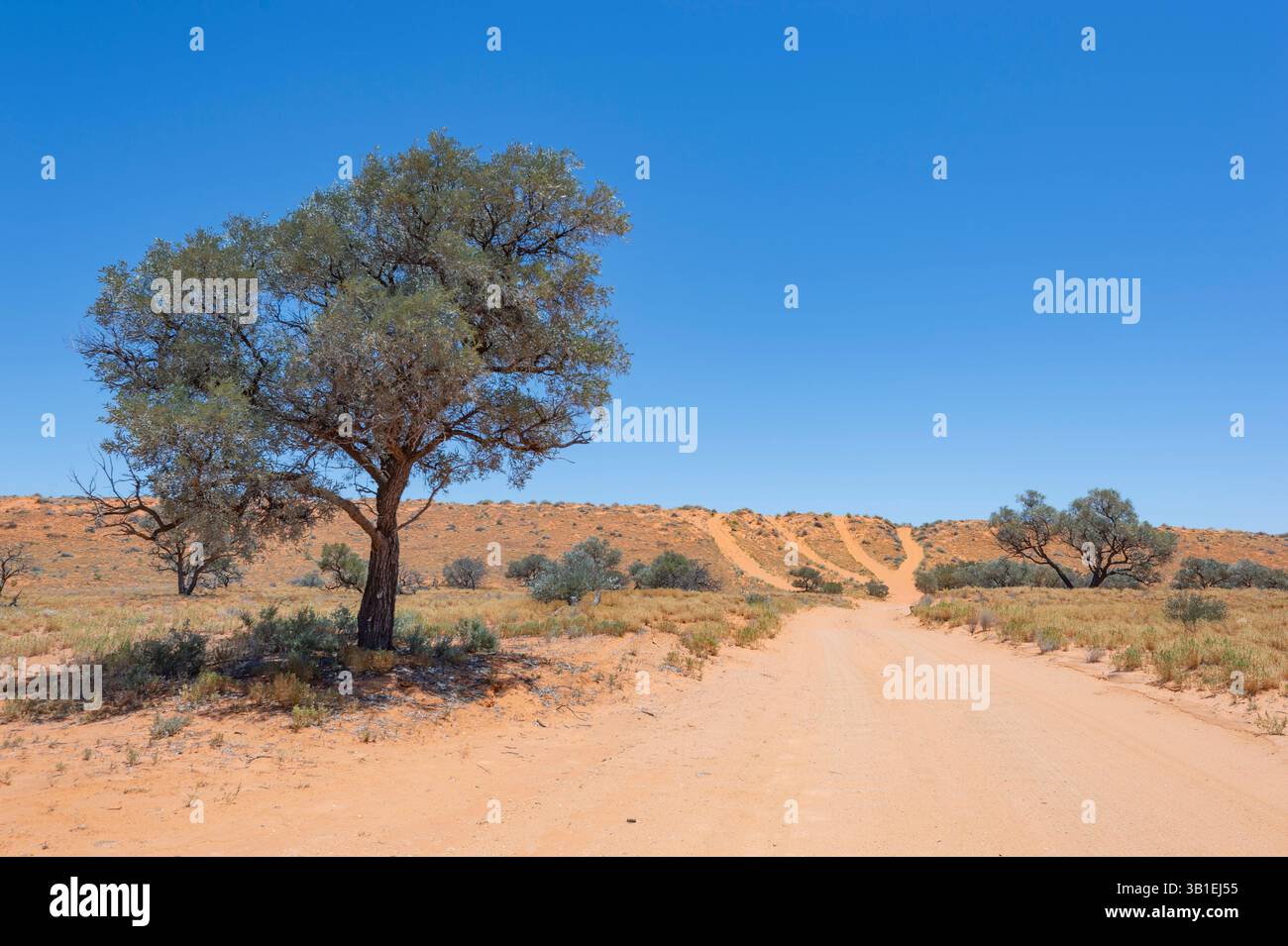 Abgelegene Strecke zwischen Sanddünen in der Simpson Desert, Australian Outback, Queensland, QLD, Australien Stockfoto