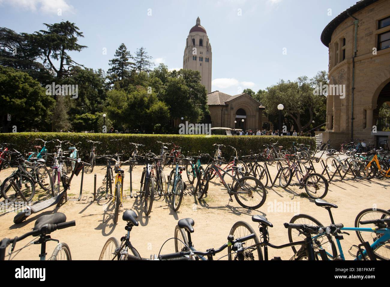 Palo Alto, Kalifornien, USA - 18. April 2025: Fahrradpark vor der Wallenberg Hall und dem Hoover Tower. Stockfoto