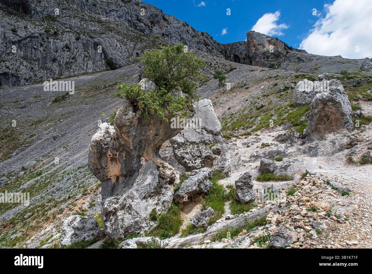 Berglandschaft in der Cares-Schlucht in Spanien mit ihren felsigen Klippen und Vegetation Stockfoto