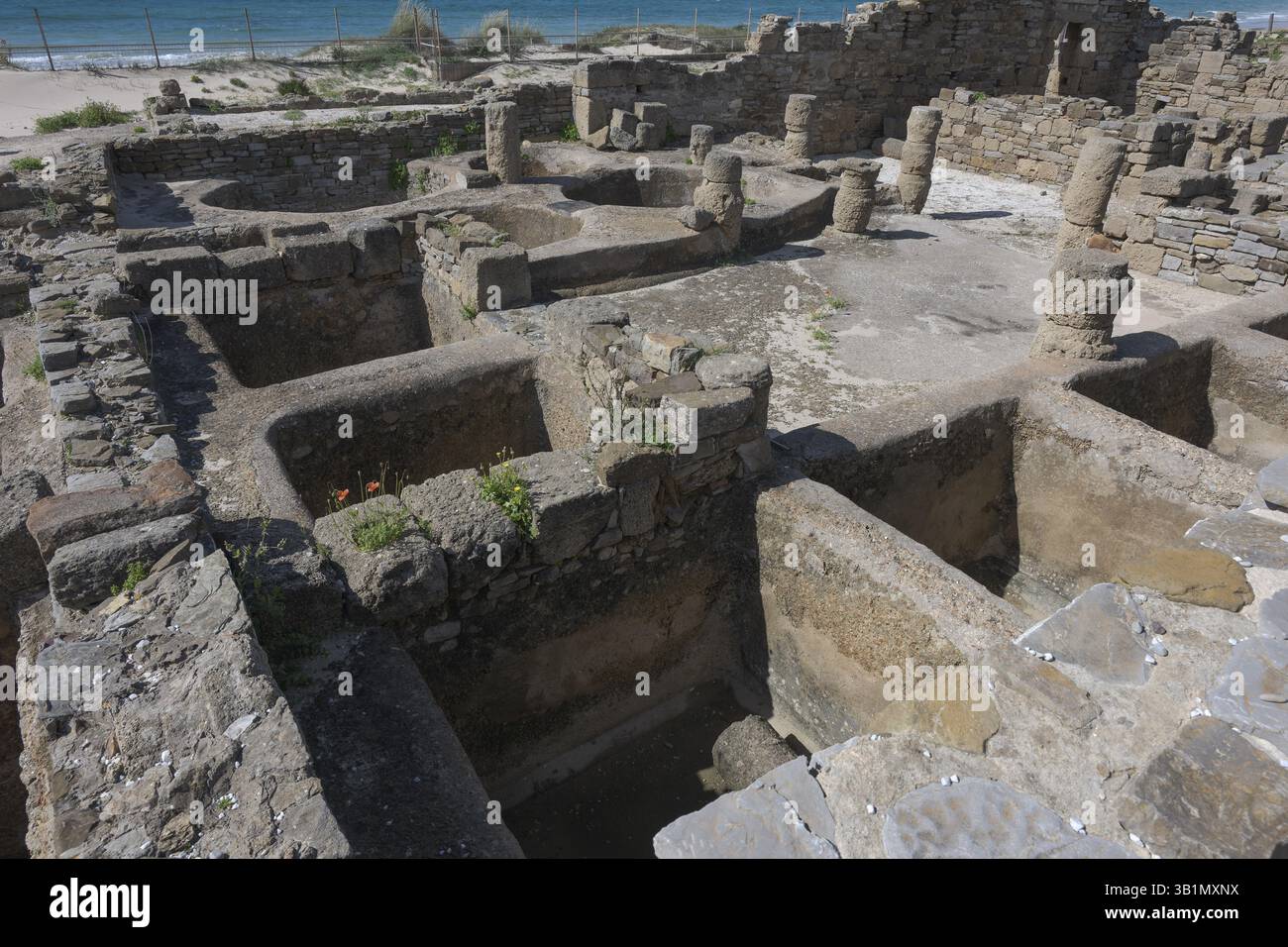 Becken für die Herstellung von Garum (Fischsauce), Archäologisches Museum Baelo Claudia, Cadiz, Spanien, Europa Stockfoto