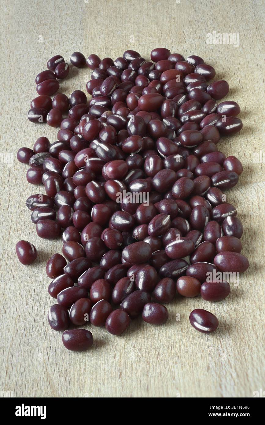 Adzuki- oder Azuki-Bohnen, Vigna angularis werden oft mit Zucker gekocht, um rote Bohnenpaste für Desserts zu erhalten. Adzuki-Bohnen werden oft mit Zucker zu Obta gekocht Stockfoto
