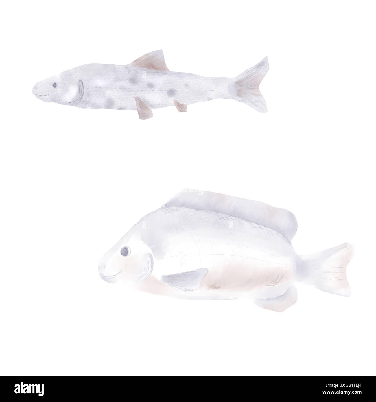 Meer- und Flussfische. Aquarellabbildung. Ein Set süßer Fische in Beigetönen, isoliert auf weißem Hintergrund. Für Meeresfrüchte Logos, Restaurant Brandin Stockfoto