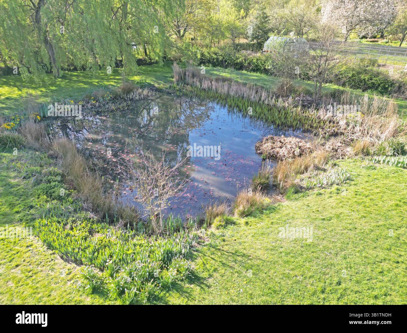 Blick aus der Vogelperspektive auf das Dorfgrün und den Teich in capel surrey Stockfoto
