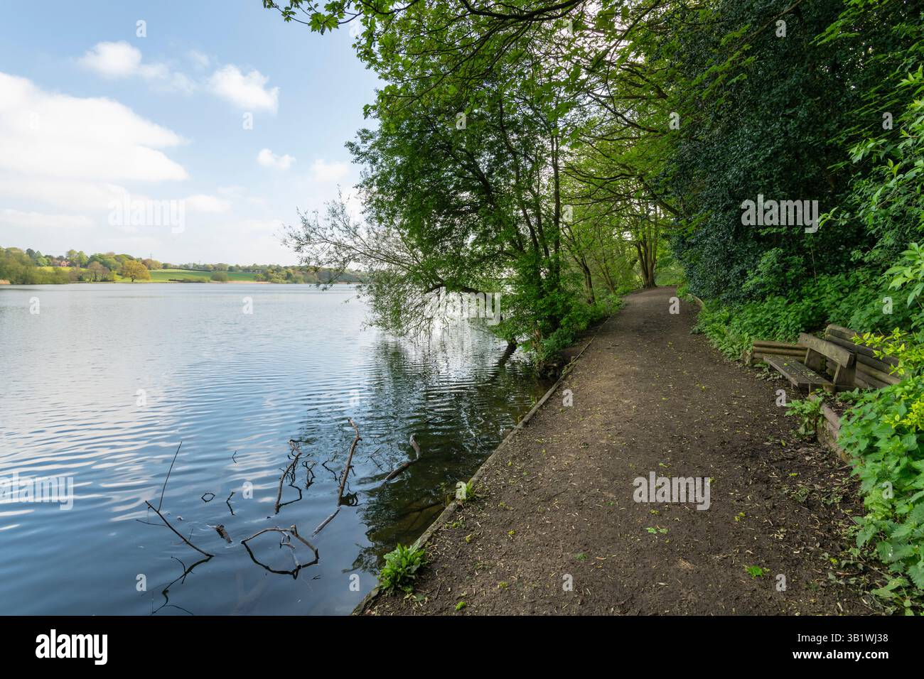 Budworth Mere, Marbury Country Park in der Nähe von Northwich, Cheshire, England. Stockfoto