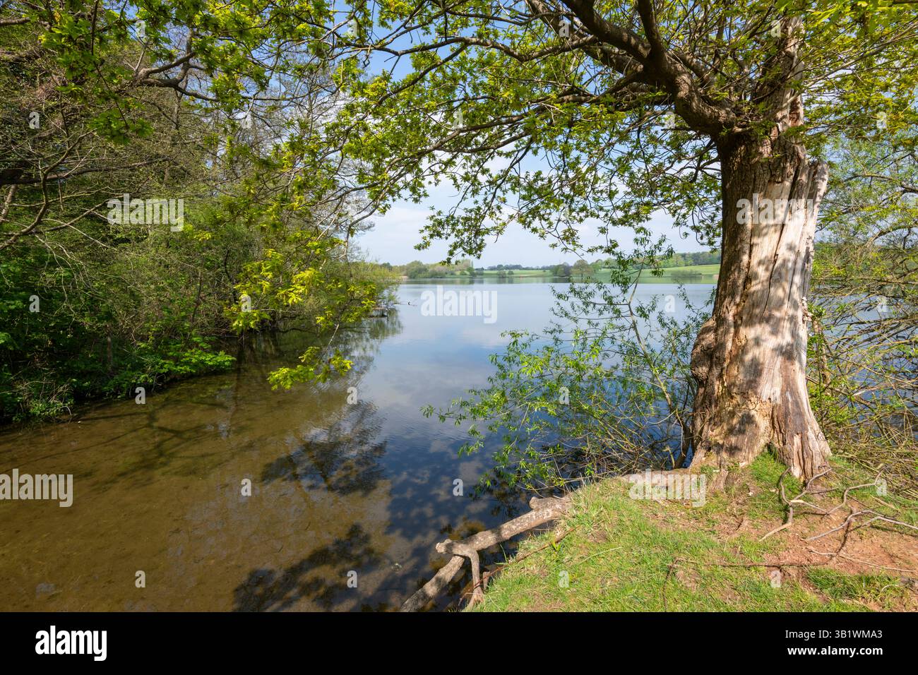 Budworth Mere, Marbury Country Park in der Nähe von Northwich, Cheshire, England. Stockfoto
