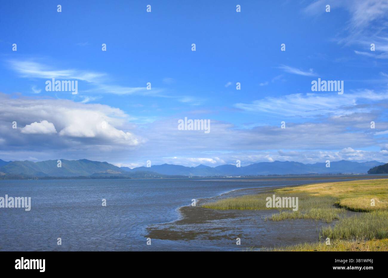 Newtarts Bay ist von blauem Himmel und Wolken bedeckt. Tiday-Wohnungen erstrecken sich bis in die Ferne und enden an der Oregon Coast Range. Stockfoto