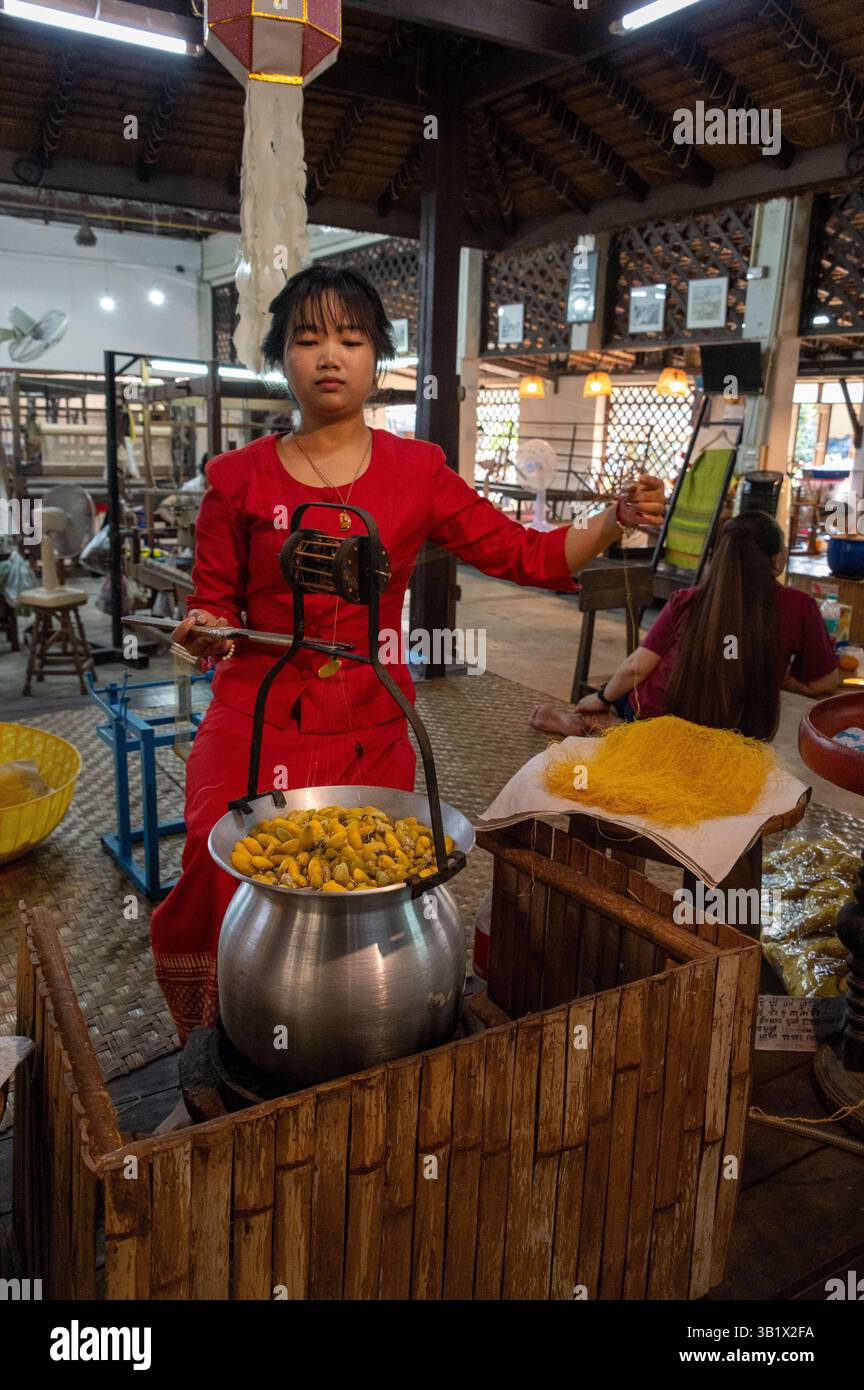 Nach dem Seidenraupenkokons werden sie in der Regel lebend gekocht oder im „Thai Silk Village“ in Ban Sanuan NOK, einem Dorf, gebacken Stockfoto