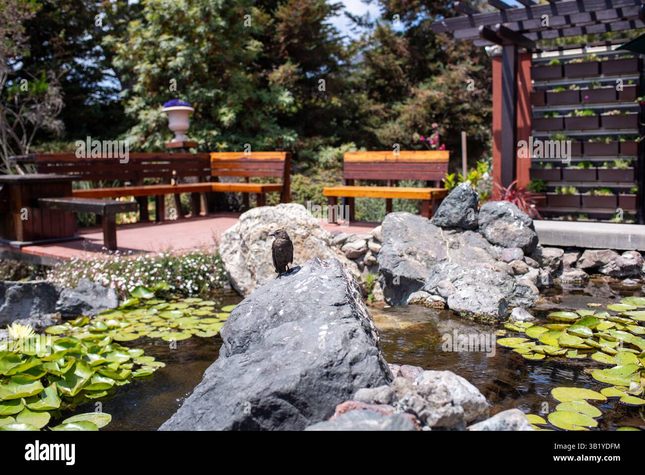 Gärten des Los Padres National Forest, Solvang, Kalifornien Stockfoto