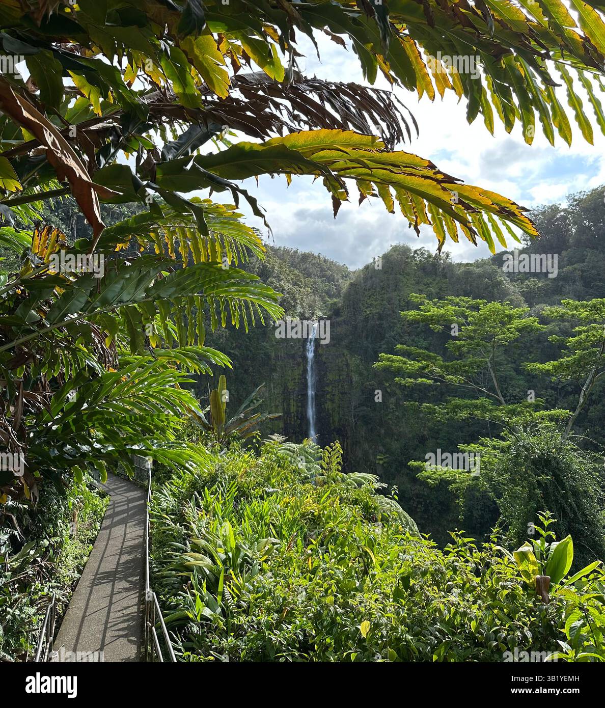Akaka Wasserfall auf Hawaii Stockfoto