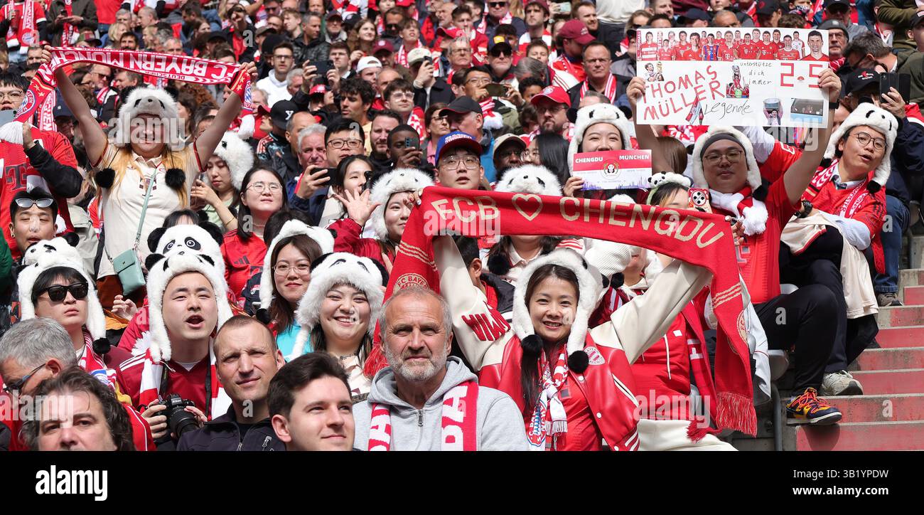 München, Deutschland. April 2025. Fans jubeln Bayern München beim Fußball-Spiel der ersten Bundesliga zwischen Bayern München und dem FSV Mainz 05 in München am 26. April 2025 an. Quelle: Philippe Ruiz/Xinhua/Alamy Live News Stockfoto