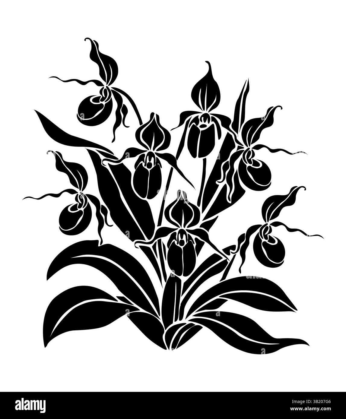 Ladys Slipper Orchideen Blumen schwarze Kunst Silhouette Stock Vektor